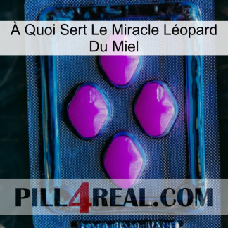 À Quoi Sert Le Miracle Léopard Du Miel 04